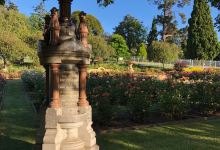 University Rose Gardens景点图片