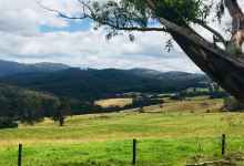 Little Charli's Lookout景点图片