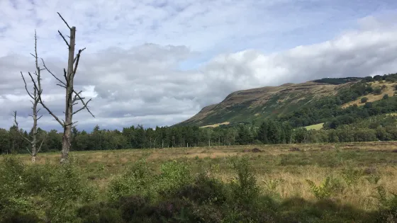 Portmoak Moss