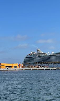 Monumental Flag-恩森那达