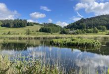 Heinz-Sielmann-Weiher景点图片