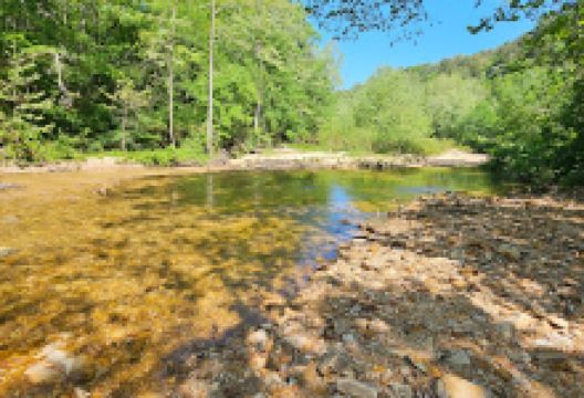 Paddy Creek Wilderness and Big Piney Trail景点图片