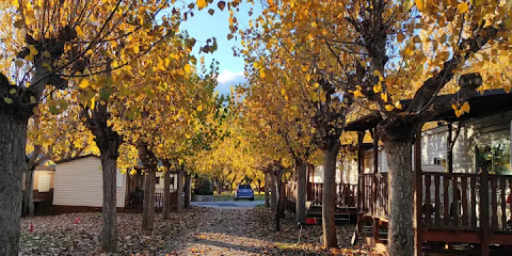 索拉納德爾塞格雷露營地