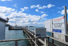 Eden Wildlife Cruises & Sea Kayaking景点图片