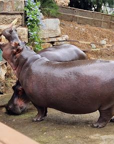 Selwo Aventura-埃斯特波纳