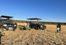 Wildenserve Safaris景点图片