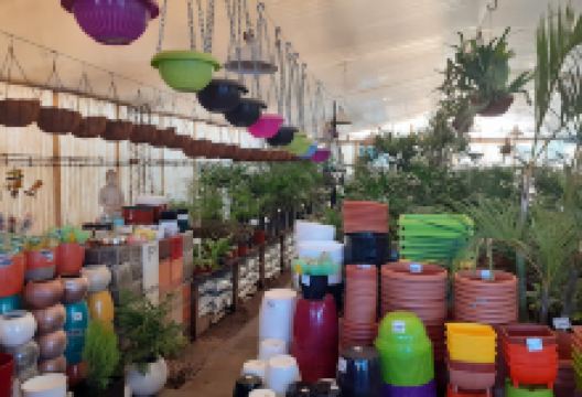Vivero del sol购物图片