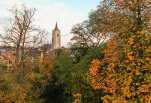 Sint-Gertrudiskerk Ternat景点图片