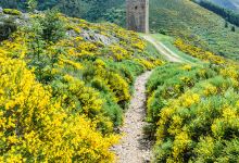 Tour de Saint Laurent les Bains景点图片