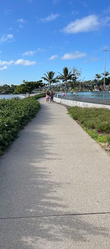 Fig Tree Markets-耶蓬