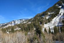 Snowbird Conference Services景点图片
