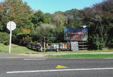 Coromandel Garden Centre购物图片