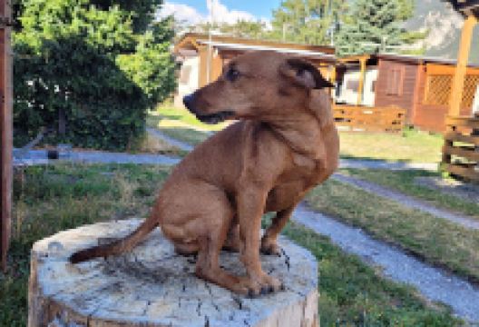 Camping Pra - Vey景点图片