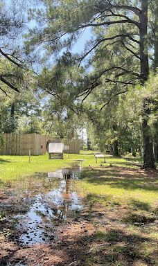 Point Lookout State Park-圣玛丽县