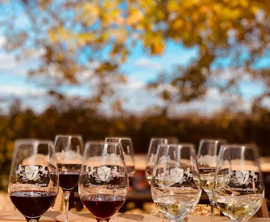 Vignoble Domaine du Fleuve        