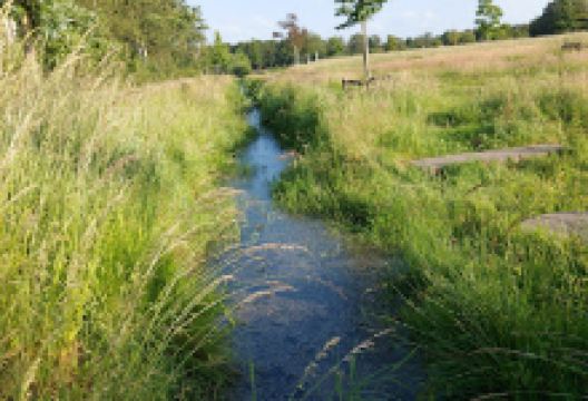 Arboretum Geffen景点图片