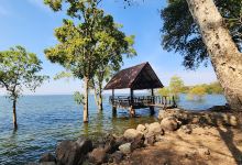 Phu Kao - Phu Phan Kham National Park景点图片