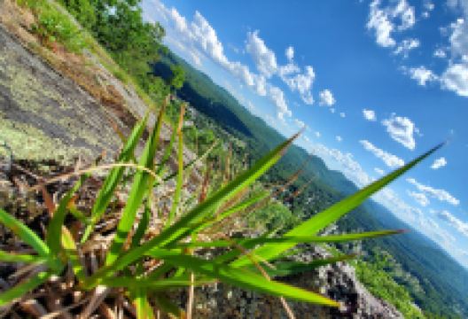 Hackensack Mountain Park景点图片