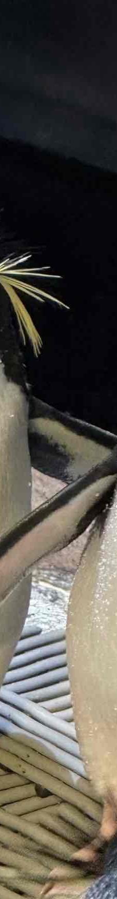 新英格兰水族馆-波士顿-YoYo_4P4L9F6V