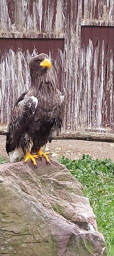 Vogelpark Niendorf-蒂门多尔费尔斯特兰德