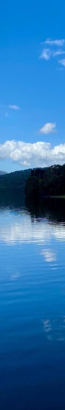 Maroondah Reservoir Park-希尔斯维尔