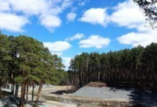 Gilevskaya Grove景点图片