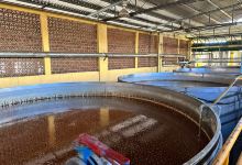 Destiladora Rubio景点图片