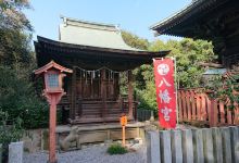 Raiden Shrine景点图片
