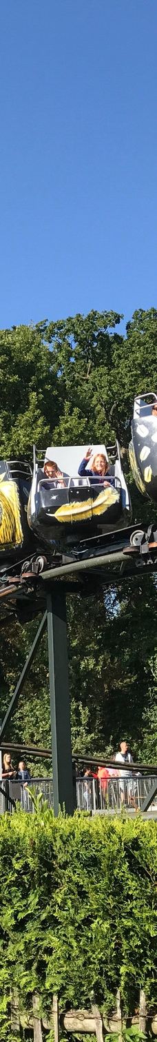 Family park Drievliet-海牙