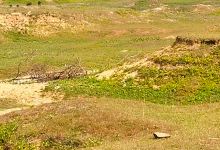 Kaundinya Wildlife Sanctuary景点图片