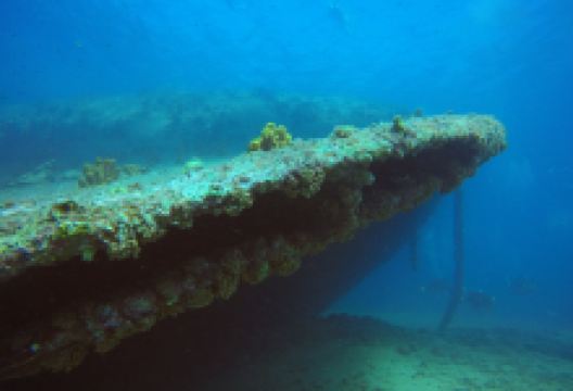 Happy Divers Aruba购物图片