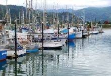 Garibaldi Boat Basin景点图片