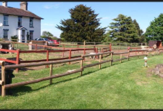 Boston Park Farm Maize Maze景点图片