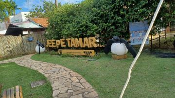 Tamar Project