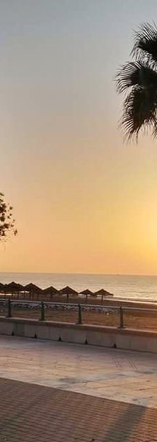 Paseo Maritimo de Estepona-埃斯特波纳