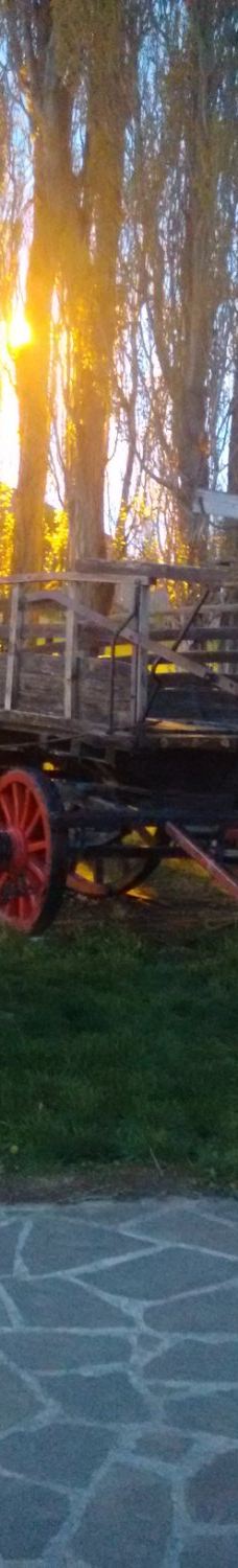 Plaza de Los Pioneros-埃尔卡拉法特