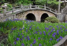菅原神社景点图片