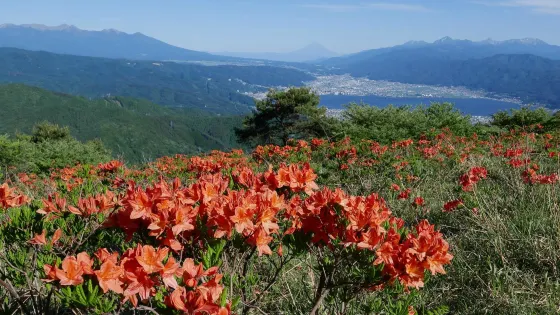 Takabotchi Highlands