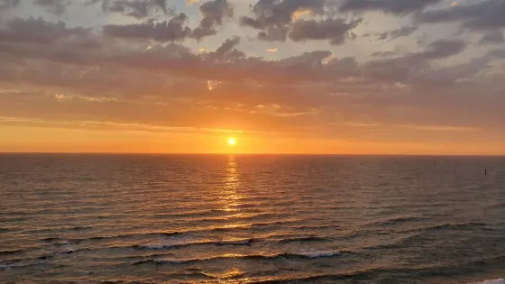 Sandringham Beach