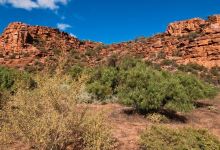 Whyalla Conservation Park景点图片