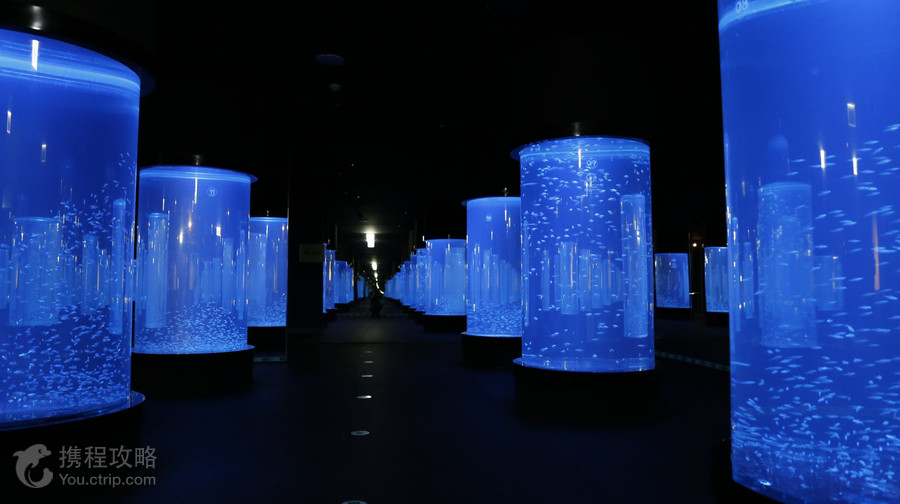 愛來水族館 大邱
