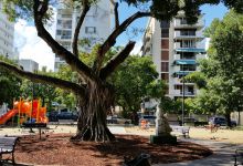 Plaza Antonia Quinones景点图片