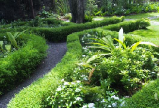 Villa Rivière Villa Riviere景点图片