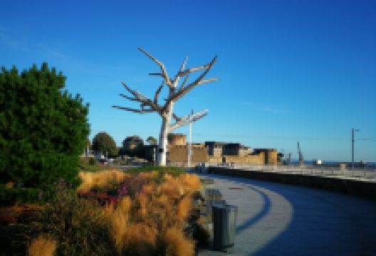 L'Arbre Empathique景点图片