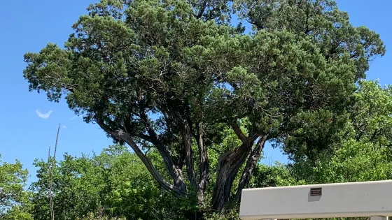 Senator Frank L. Madla Natural Area