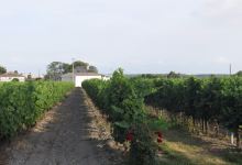 Moulin de la Lande景点图片