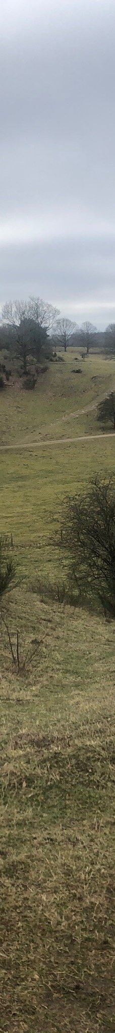 Svanninge Bakker-福堡