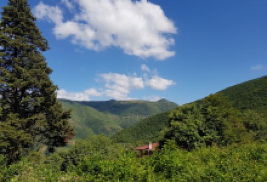 Çamaltı Köyü Plajı景点图片