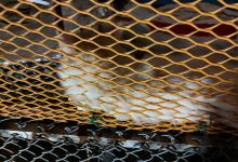 Jahan agro景点图片