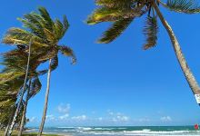 Surf Beach Bryan J. Ramos La Pared景点图片